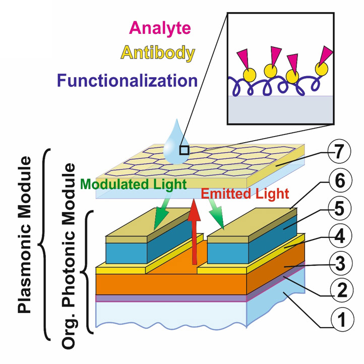 Optoplasmonic-module-moloko-project