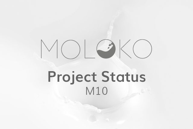 MOLOKO status M10 MOLOKO status M10