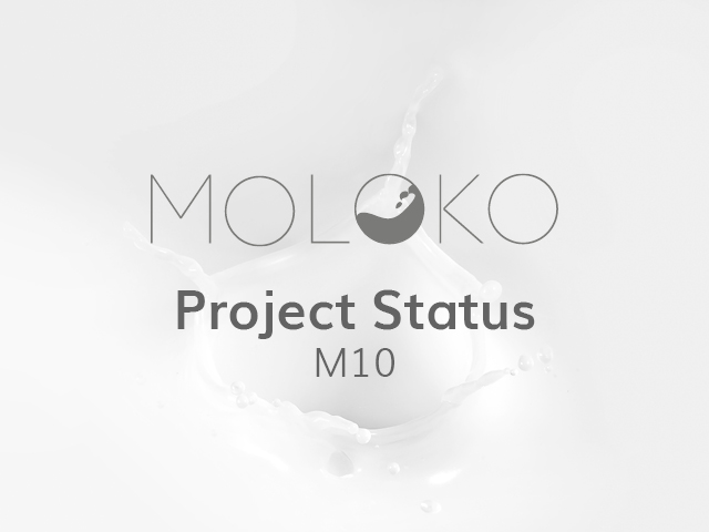 MOLOKO status M10 MOLOKO status M10
