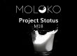 MOLOKO project status M18