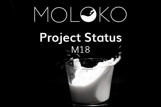 MOLOKO project status M18 MOLOKO project status M18