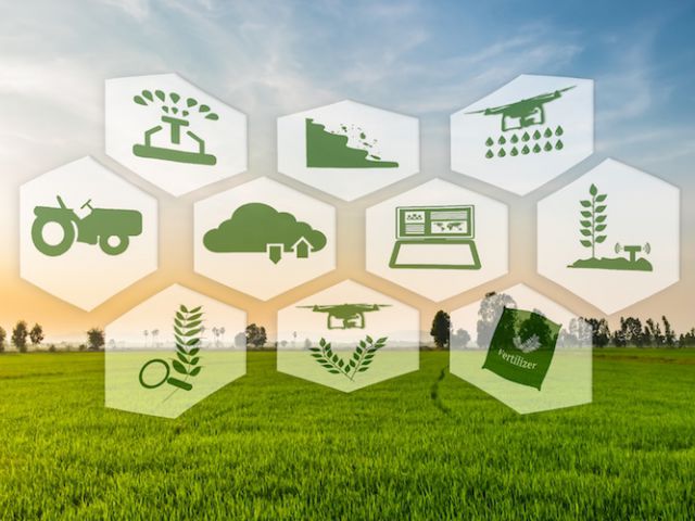agricoltura-4_23391_37835_t