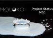 Project-Status-M30