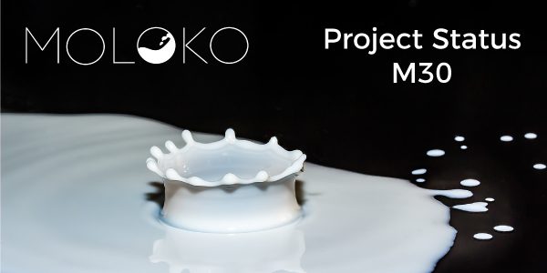 Project-Status-M30 Project-Status-M30