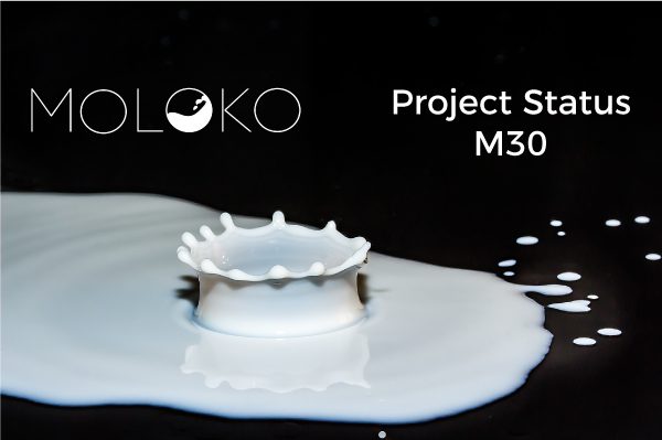 Project-Status-M30 Project-Status-M30