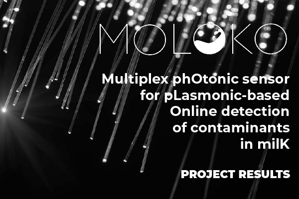 Moloko-project-results