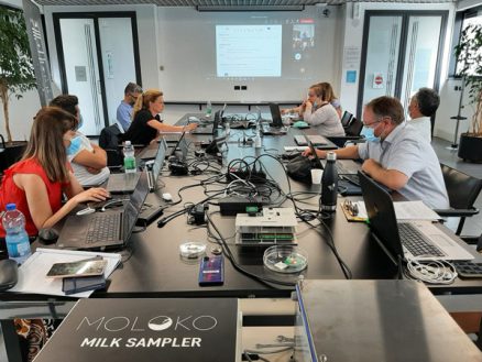 Moloko-Final-Review-meeting-Project-partners-pg